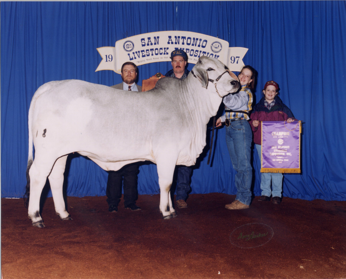 miss v8 180/5 rachel cutrer