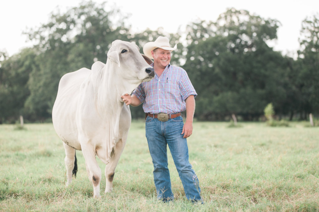 Brandon Cutrer Brahman Cow