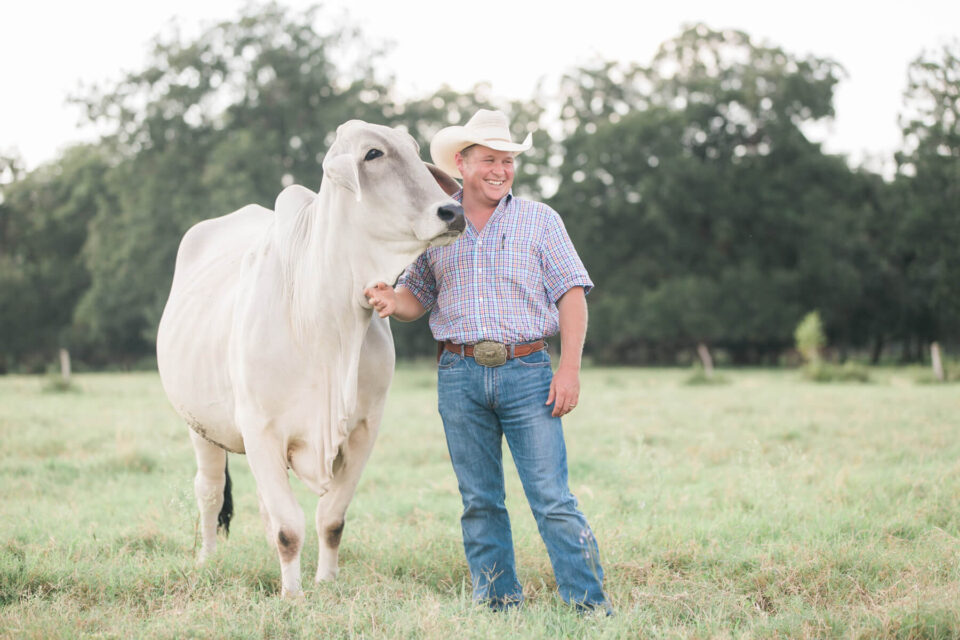 Brandon Cutrer Brahman Cow