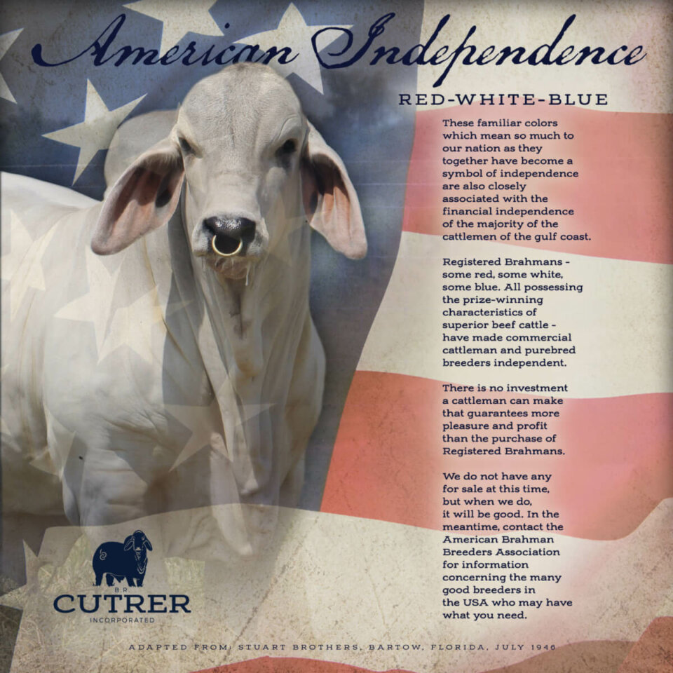 Brahman graphic