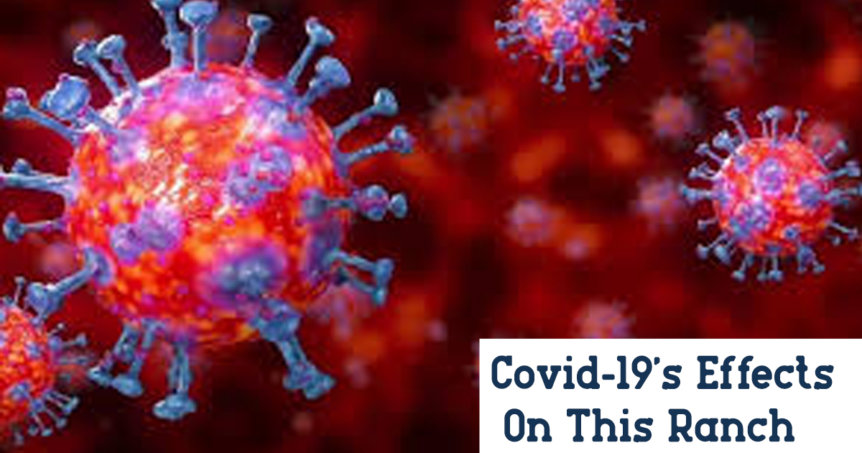 Covid 19 Effects on Ranchers