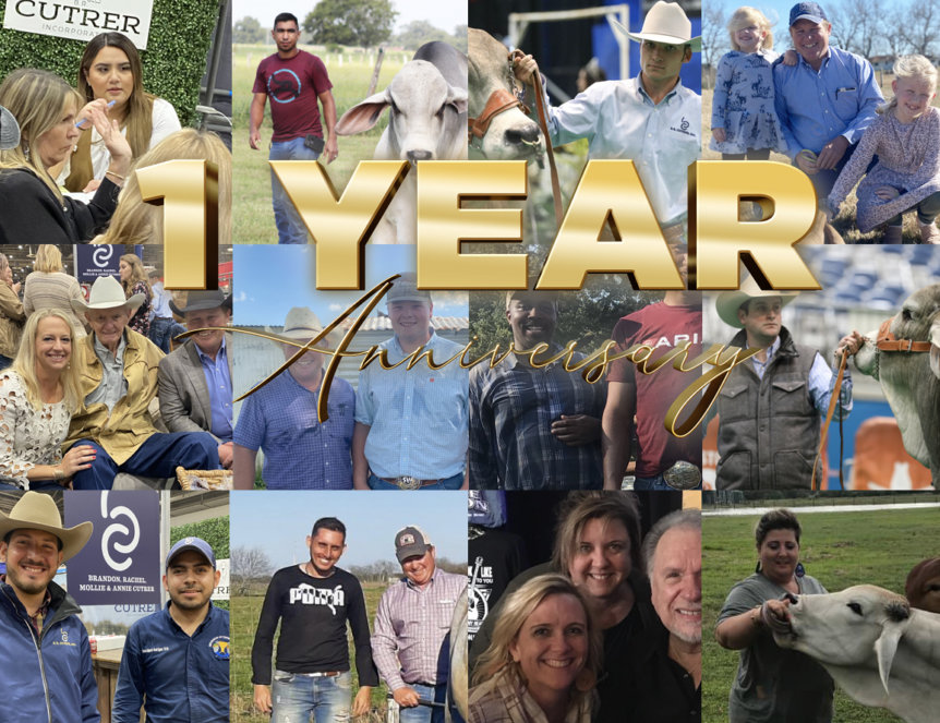 BRC 1 Year Anniversary