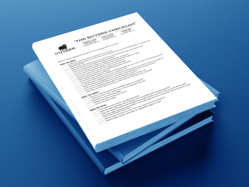Buyers Checklist for Cattle