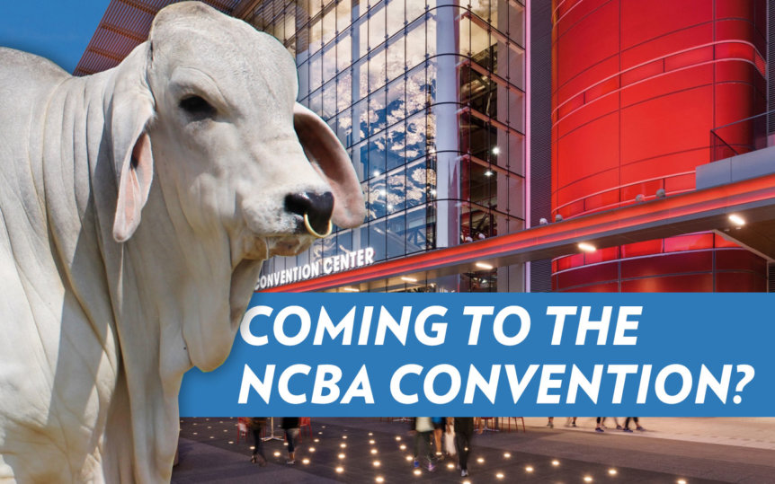 NCBA Convention 2022