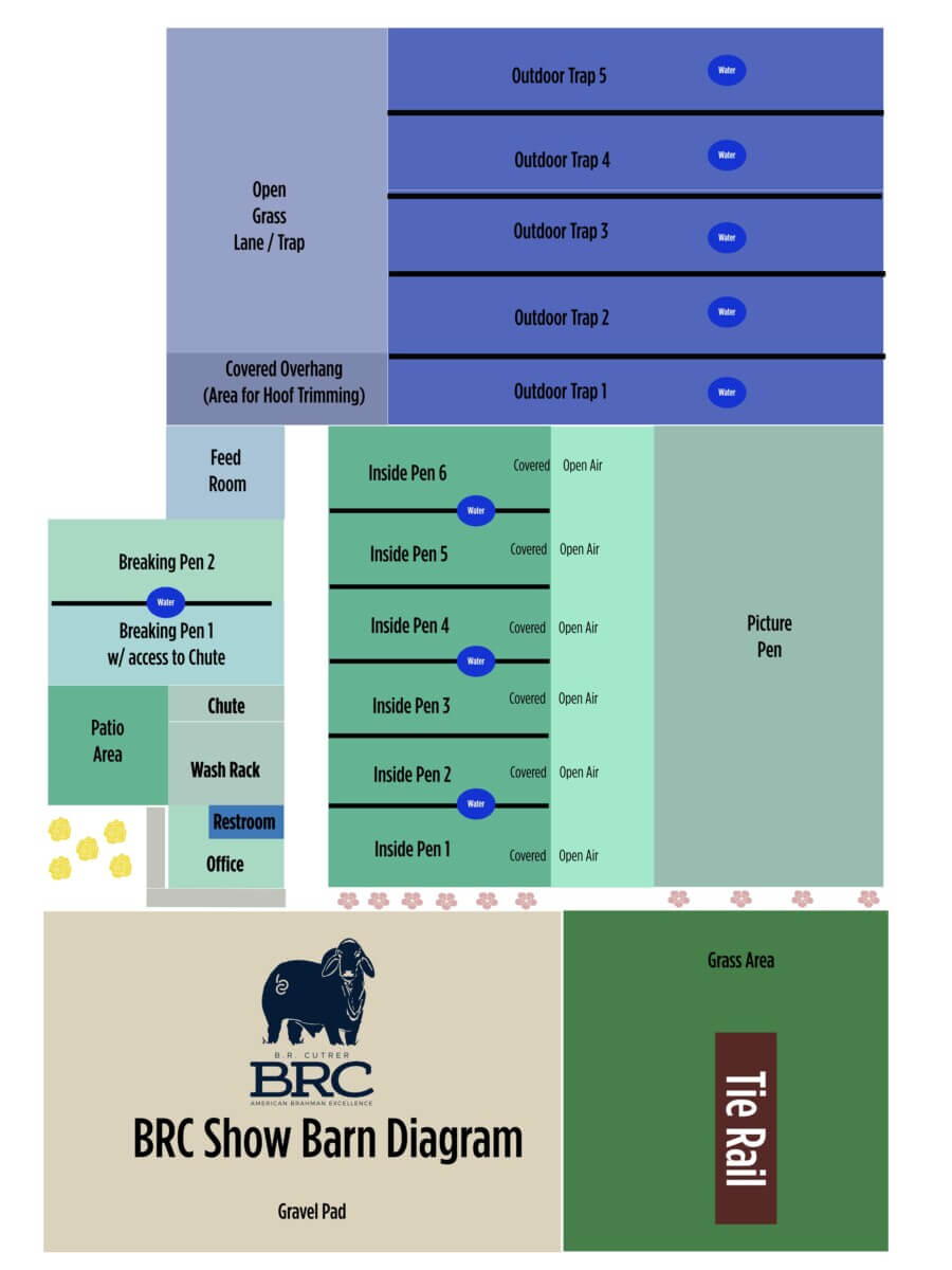cattle show barn design