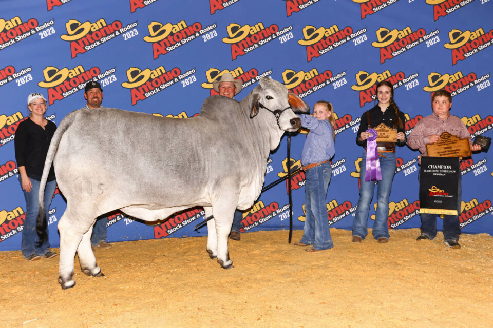BRC Lady Glitter Sparkle 115 - Mollie Cutrer wins $10,000 Scholarship for Champion Brahman at San Antonio