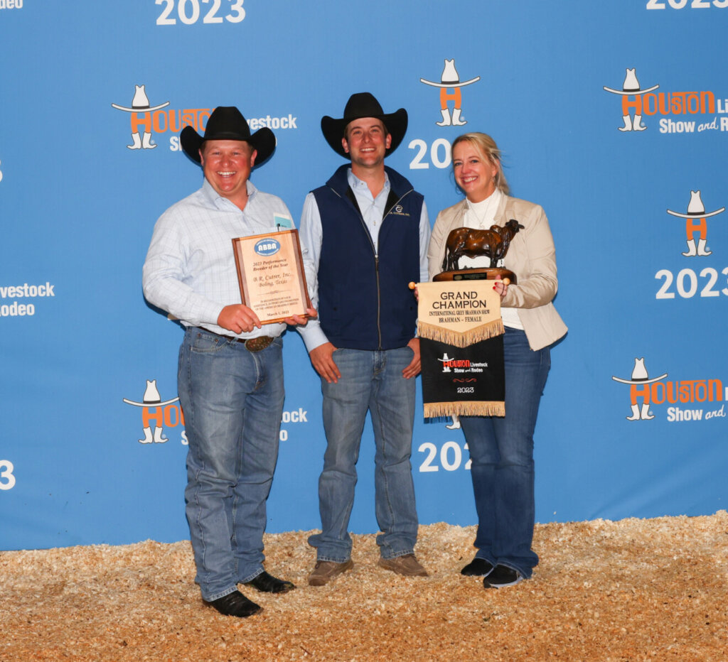 Performance Breeder Grand Champion 2023 Houston Livestock Show