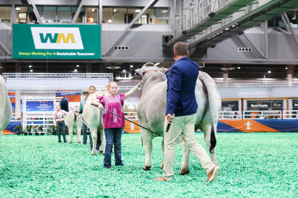 Mollie and Glitter Sparkle