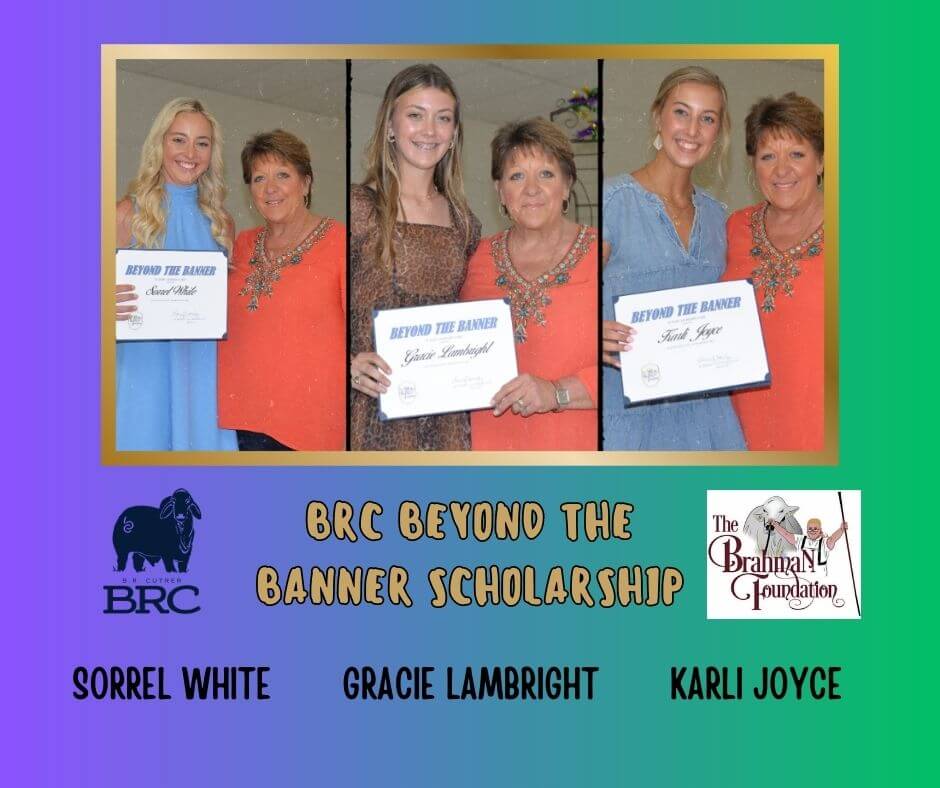 2023 Beyond The Banners Scholarship Winners