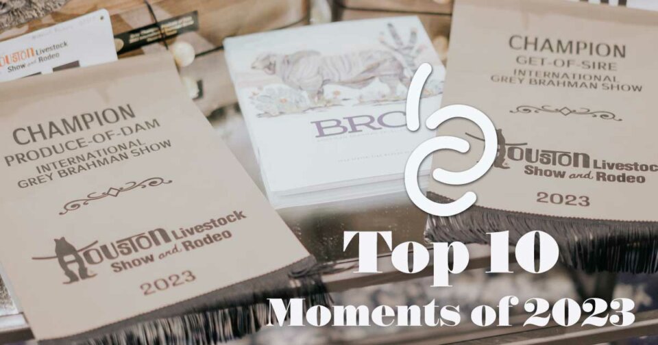 BRC Top 10 Moments of 2023