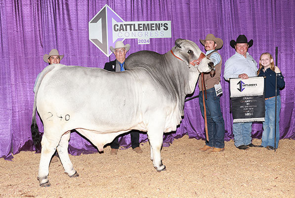 BRC Money Don’t Jiggle 240, Grand Champion Brahman