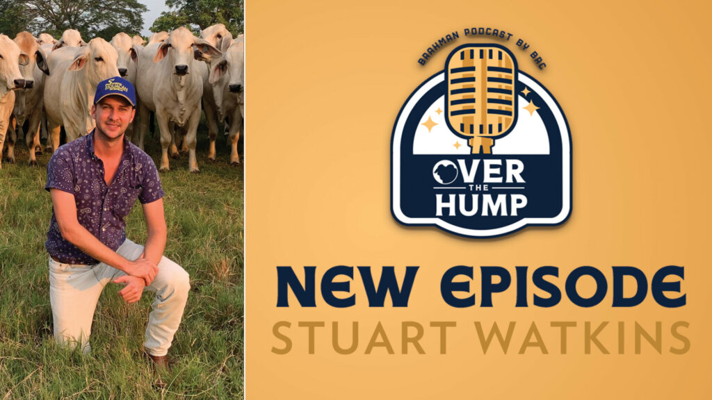 Over the Hump Stuart Watkins