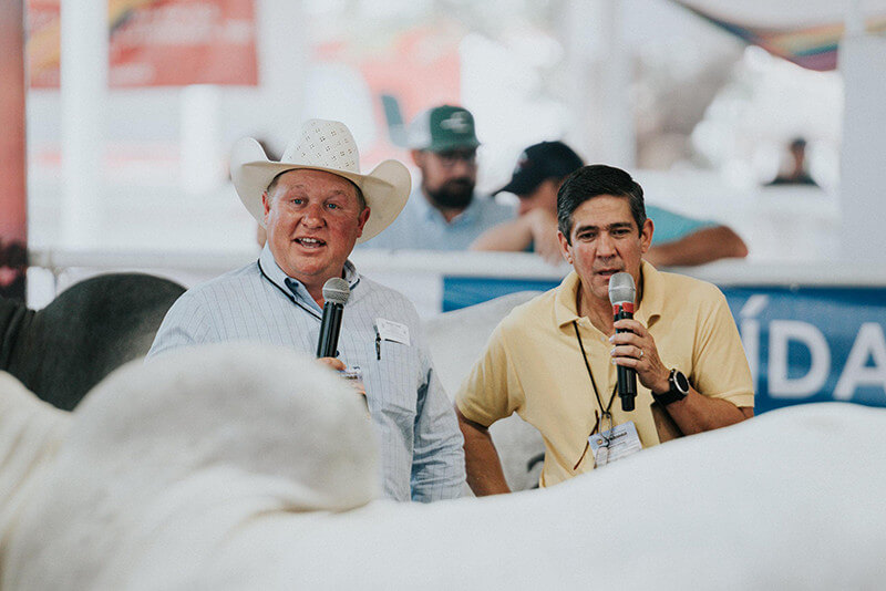 Brandon Cutrer Judges the 2024 National Gray Brahman Show in Villahermosa, Mexico