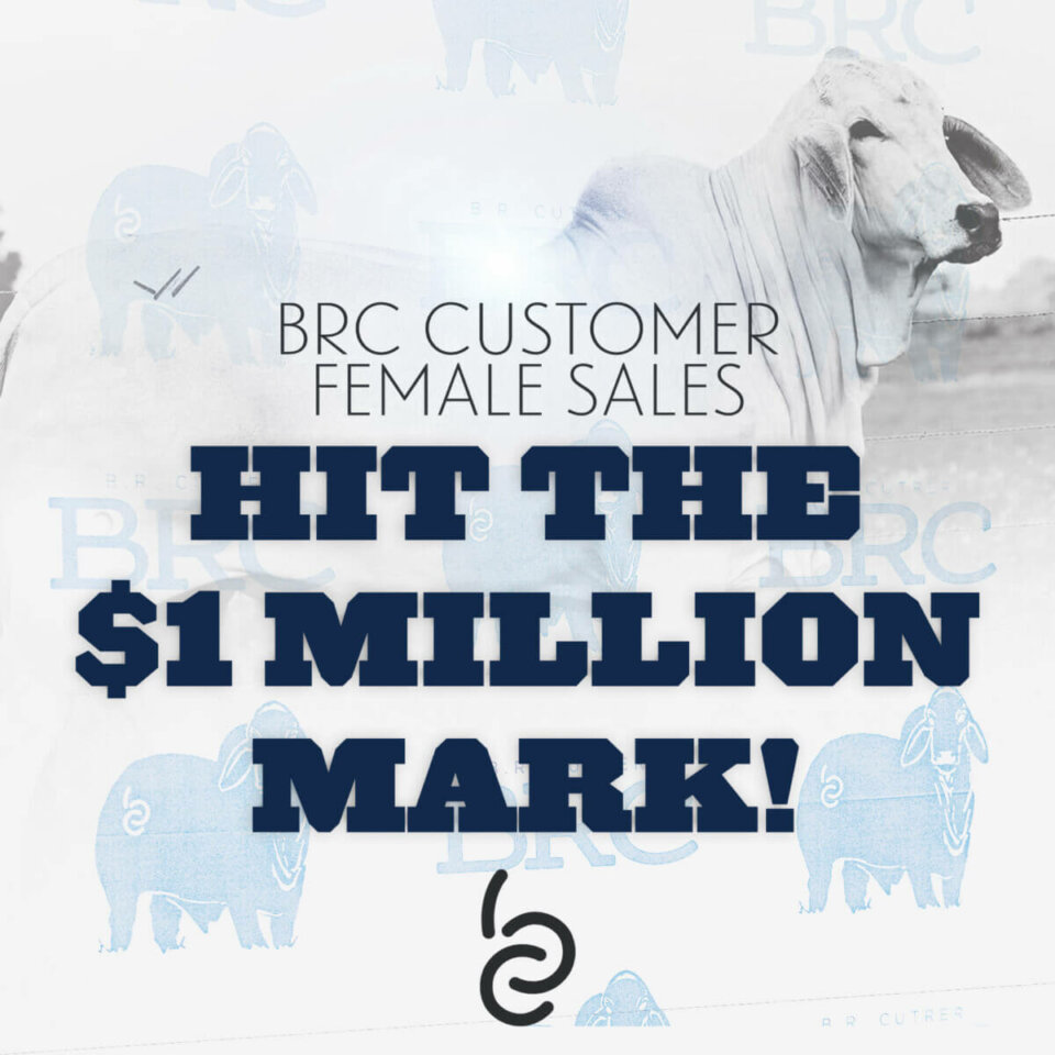 BRC Customer Female Sales Hit The $1 Million Mark!