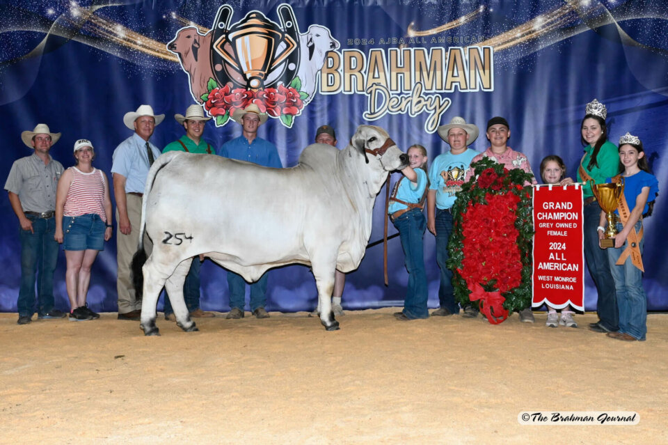 BRC Me Again Margaret 254 Captures Her Second "All American" Grand Championship