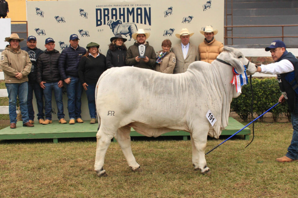 TGG Anita 721 Alejandra