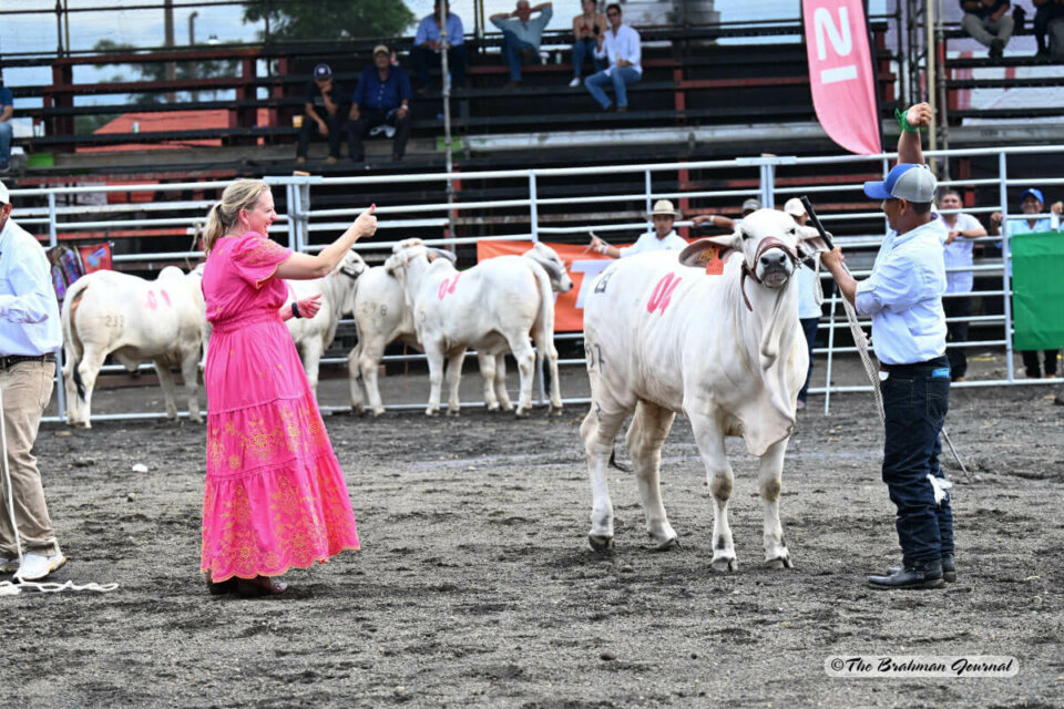 Rachel Cutrer Judges Feria de Managua 2024