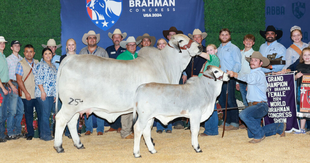 World Brahman Congress