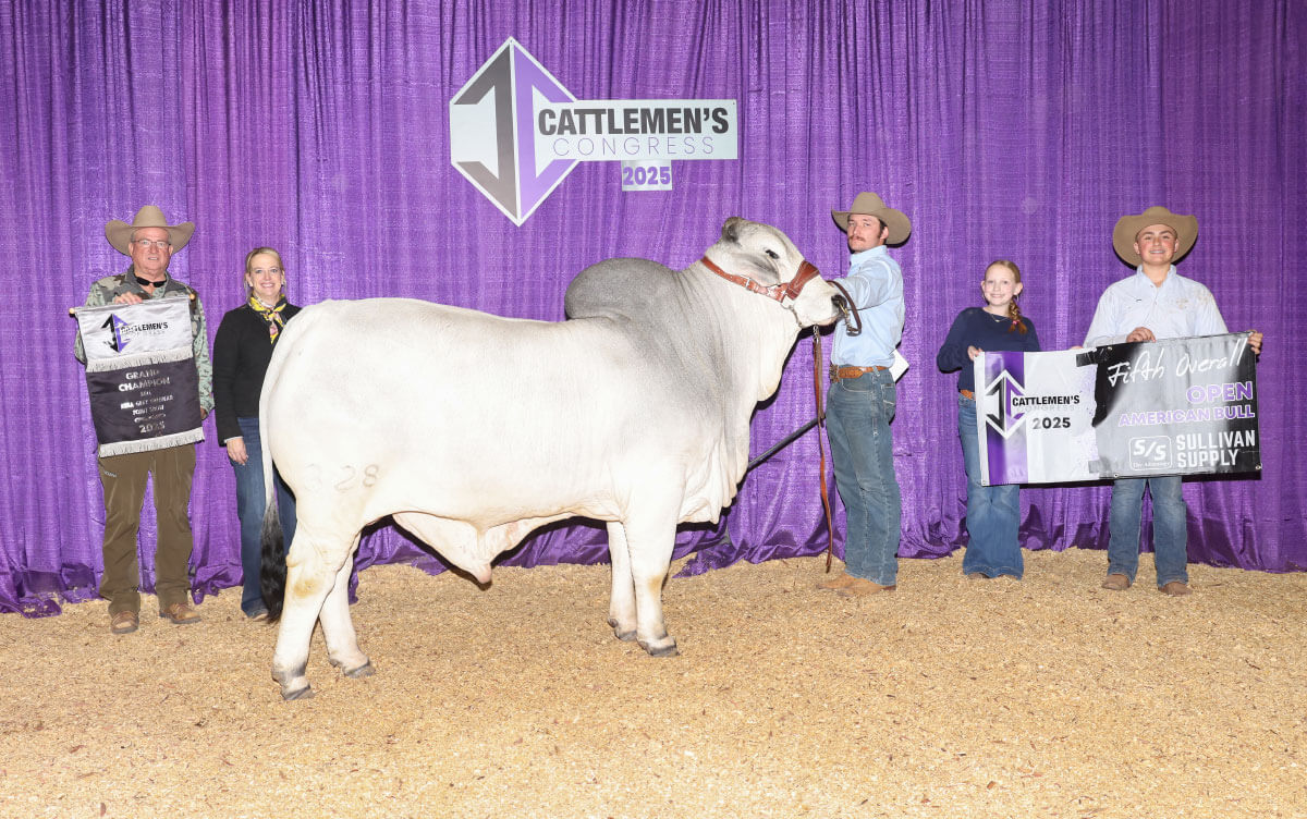 Rc Ranch Events 2025 Cattleman’s Congress Brahman Show Results - BRC Ranch
