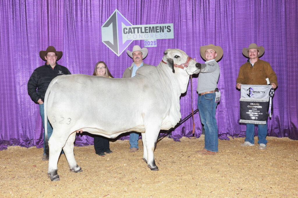 BRC Bloodline Sweeps Cattleman’s Congress Junior Brahman Show