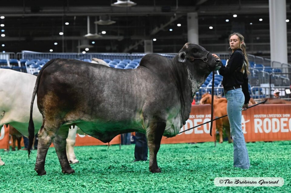 Captain Adelyn Smith