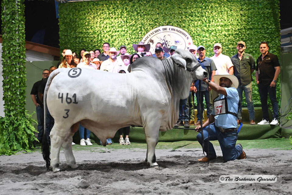 Panama’s Best Trust BRC: ExpoCebú 2025 Results