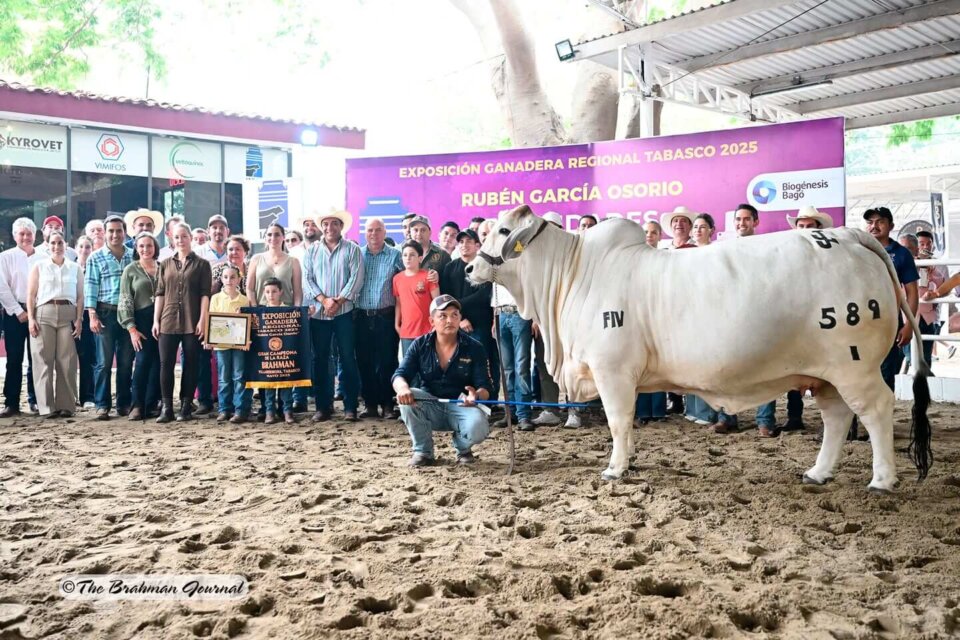 Villahermosa Champion