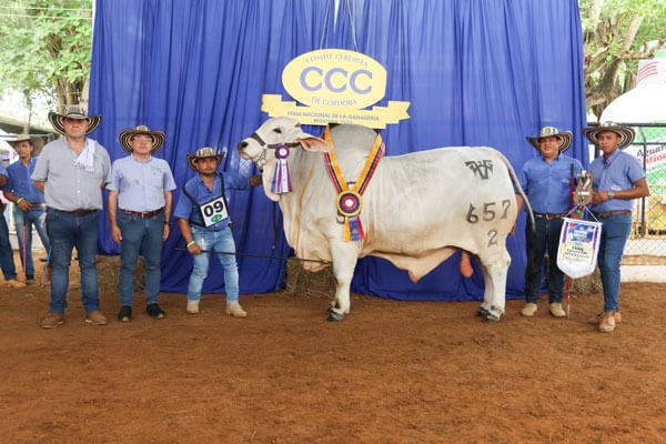 2025-63-National-Cattle-and-Agro-Industrial-Fair-of-Cordoba