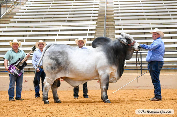 Featured image for “BRC Wins the Guitars at The Brahman Event”