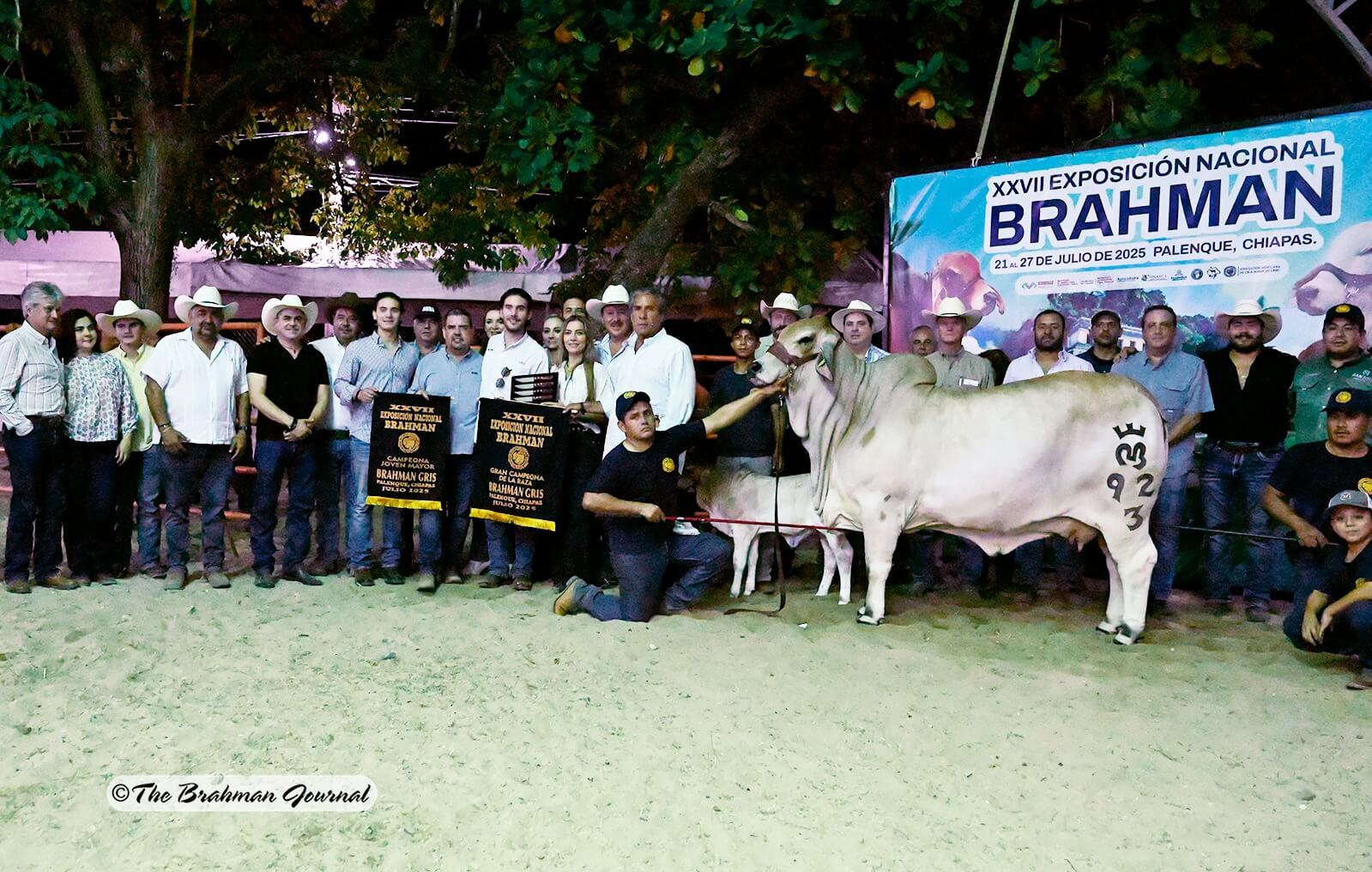 Featured image for “Marco Barba’s Super Donor Producers Top Winners in Palenque”