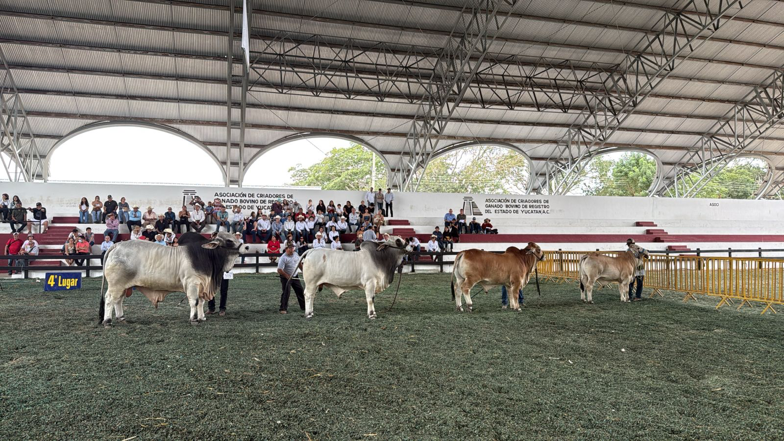 Brandon Cutrer Judges Feria Internacional de Xmatcuil 2025