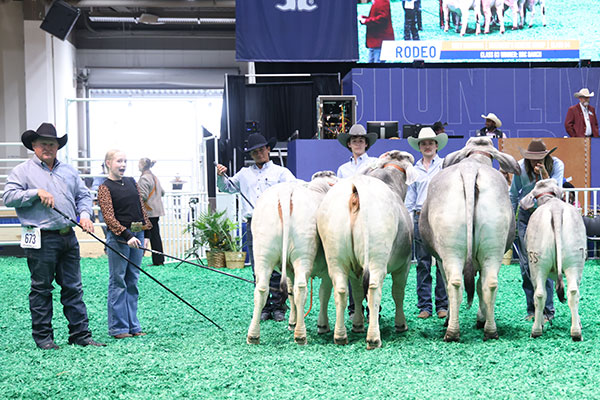 Champion Genetic Group