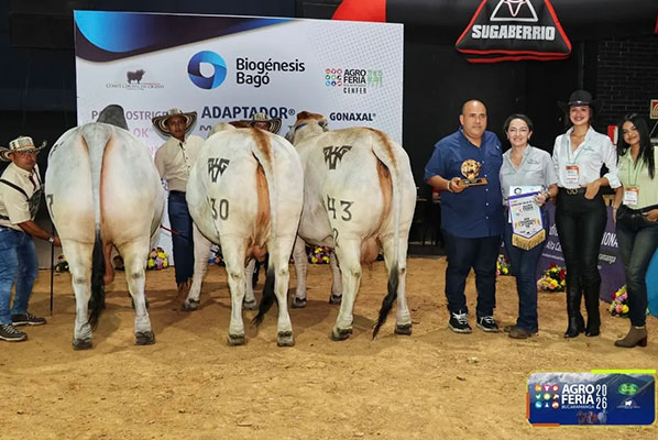 2026 Columbia - Champion Get of Sire: Noble, bred by Hda El Triunfo