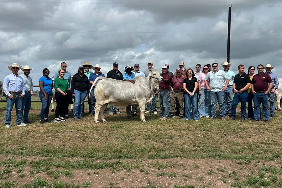 BRC Hosts Texas County Agents Tour