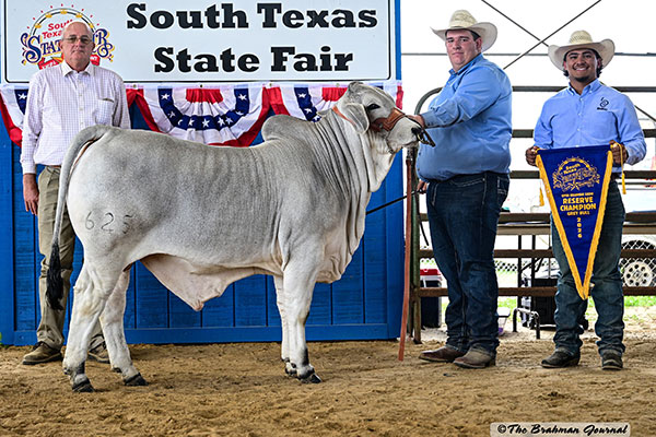 Featured image for “BRC Wins South Texas State Fair”