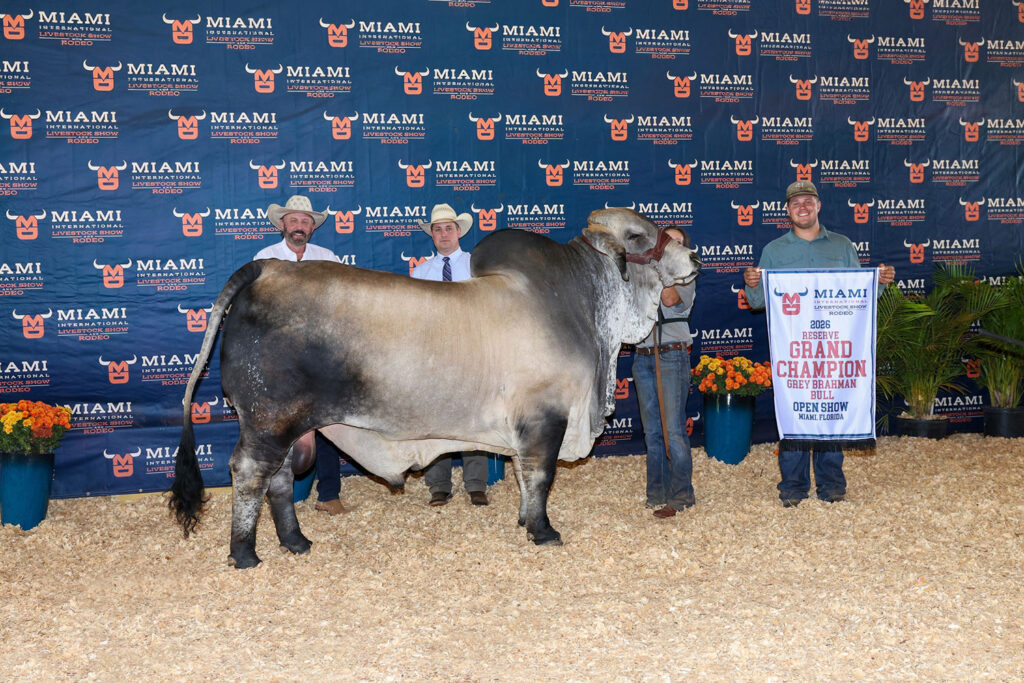 BRC Bulls Sire Winners at Miami International Livestock Show