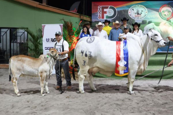 WBS 22932 Wayside Mr. Diplomat