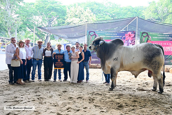 2026 Regional Cattle Show Tabasco, Mexico