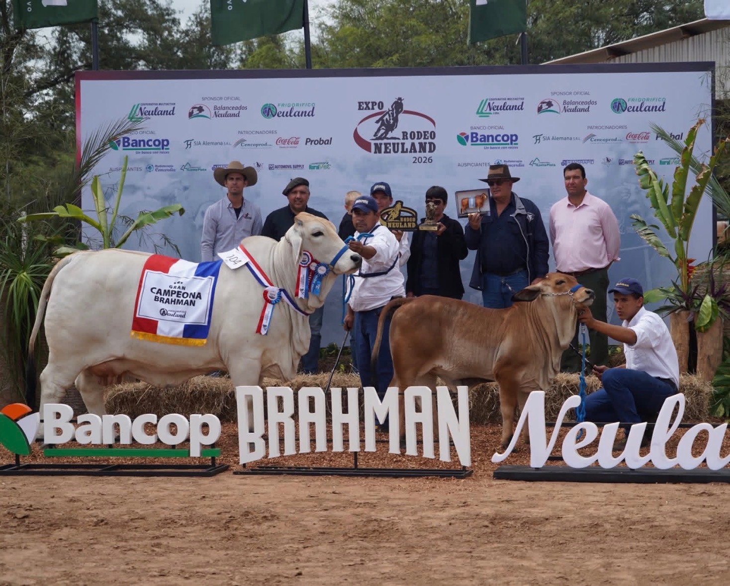 Featured image for “BRC Ranch Genetics Wins Paraguay’s Expo Neuland 2026”