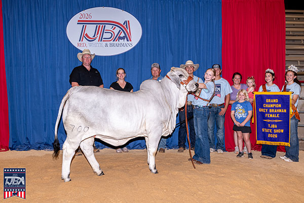 Featured image for “BRC Your Gypsy Wins 2026 TJBA State Show”