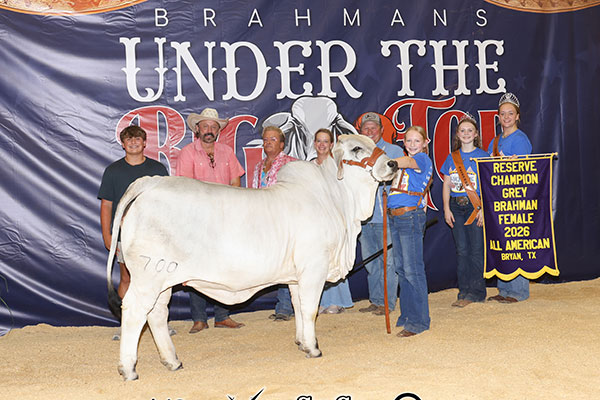 BRC Your Gypsy 700 - 2026 All American