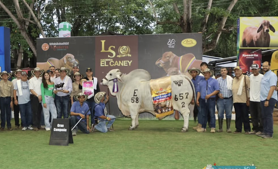 Featured image for “Noble and 160 Progeny Claim Championships in Monteria, Colombia”