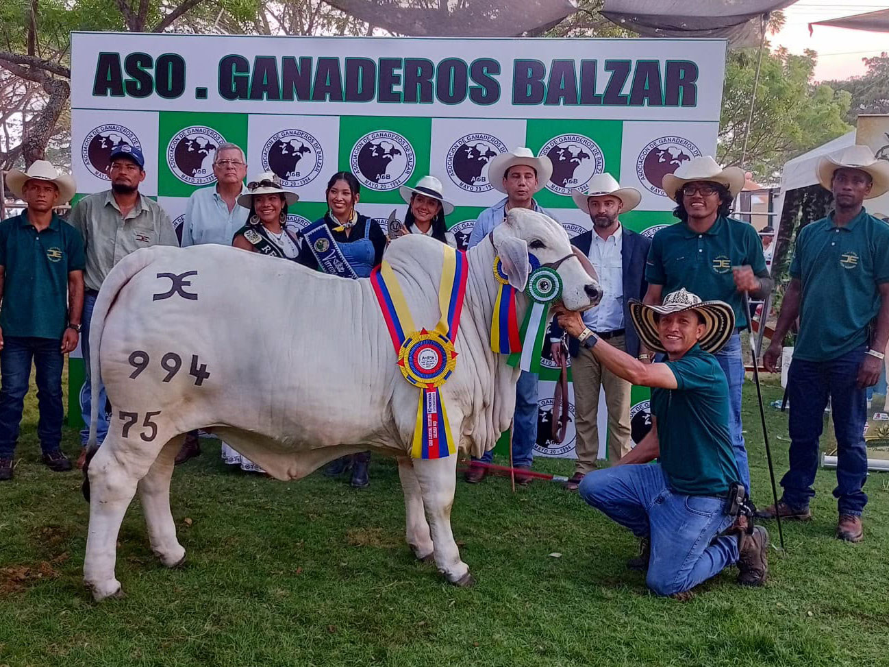 Featured image for “BRC Bloodline Wins Ecuador Championships”