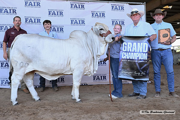 Featured image for “BRC Genetics Lead the Way at the 2026 Washington County Fair”