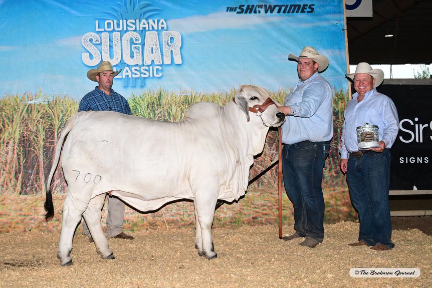 Grand Champion Female BRC Your Gypsy 700 2026 Louisiana Sugar Classic
