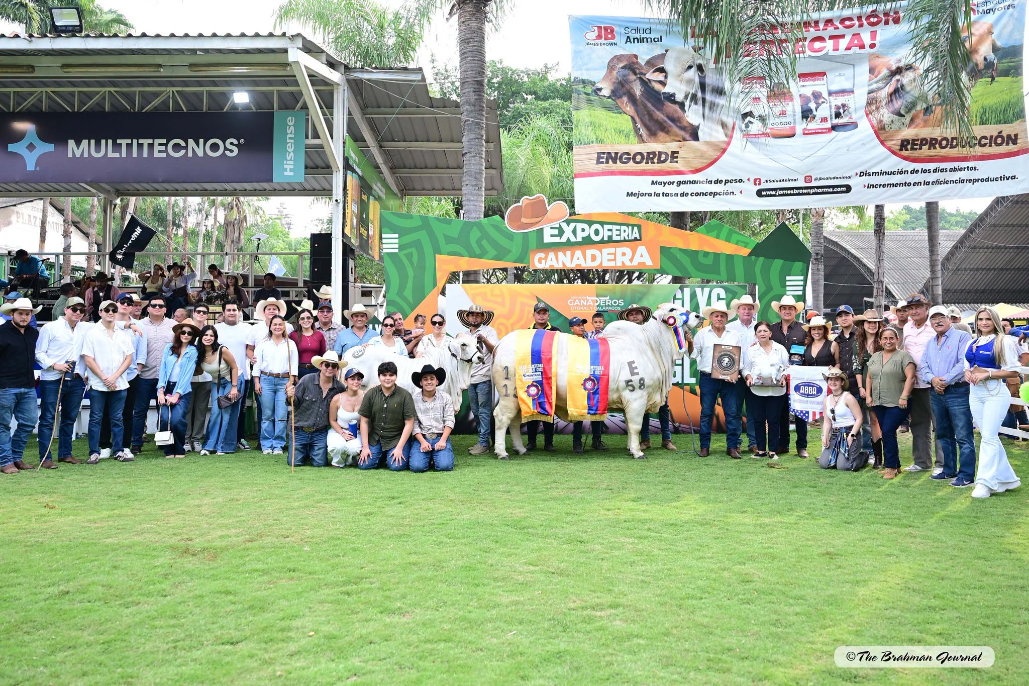 Featured image for “BRC Sires Produce Three of Four Grand and Reserve Champions at Ecuador’s Expoferia Ganadera 2026”